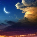 Harvesting the Moonlight Strategies