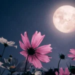 Flowers in bloom under a full moon at night, with a starry sky in the background.