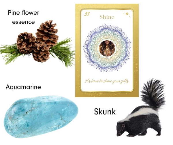 Kim Woods Master Astrologer August 2025 Forecast Intuitive Transmission for August Visual collage featuring August’s intuitive tools: Pine flower essence, an Aquamarine crystal, a Skunk as spirit animal, and Oracle Card #33 “Shine” with the message “It’s time to shine your gifts.”