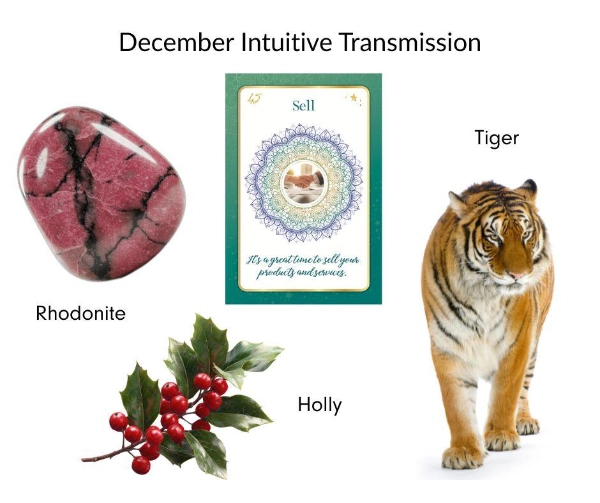 Collage showing December intuitive tools: a pink rhodonite stone, a holly sprig, a tiger, and an oracle card titled “Sell.”