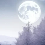 Bright full moon rising over frost-covered trees in a quiet winter landscape, symbolizing clarity, reflection, and lunar energy.